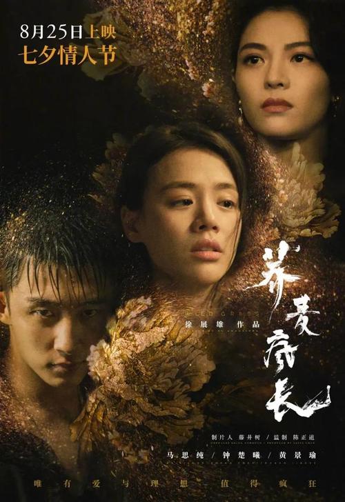 高仿荷兰驾驶证